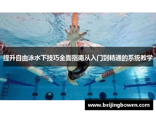 提升自由泳水下技巧全面指南从入门到精通的系统教学