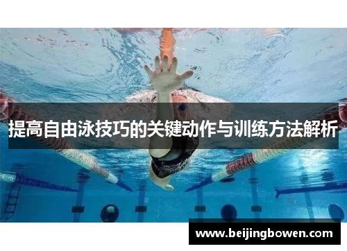 提高自由泳技巧的关键动作与训练方法解析