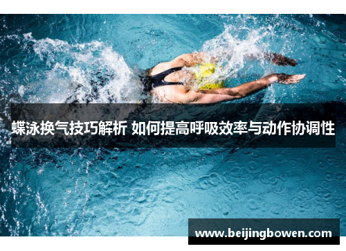 蝶泳换气技巧解析 如何提高呼吸效率与动作协调性