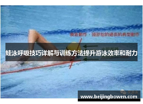 蛙泳呼吸技巧详解与训练方法提升游泳效率和耐力
